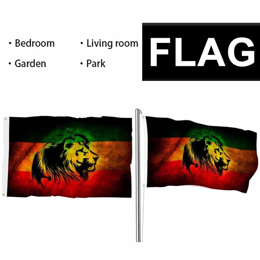 アート・デザイン・音楽 LARGER THAN LIFE Black Flag Memorabilla Amazon.com : Homokoir Mexico Flag 3x5 Foot Indoor/Outdoor